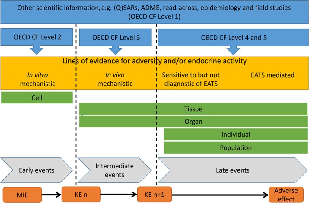 AOP- Scheme illustrating how the lines of evidence can be organized to support the postulated mode of action